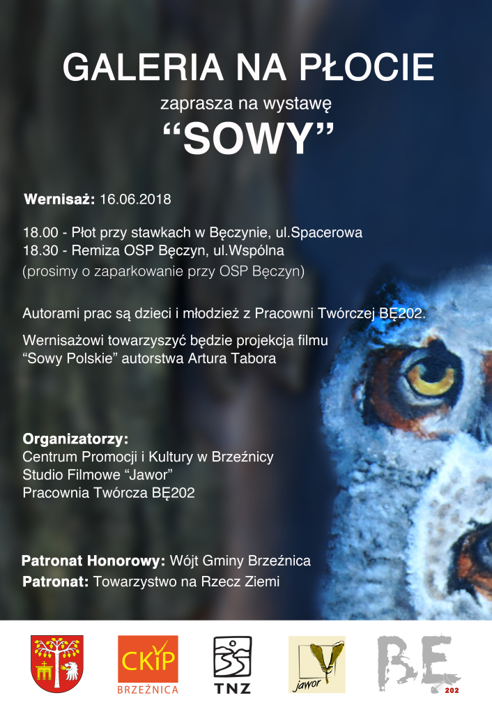 Wystawa_ SOWY
